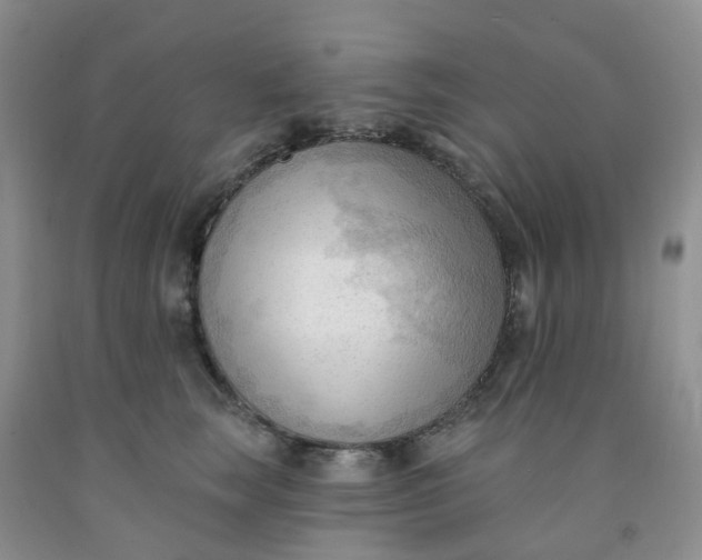 X0000091970663200709201406