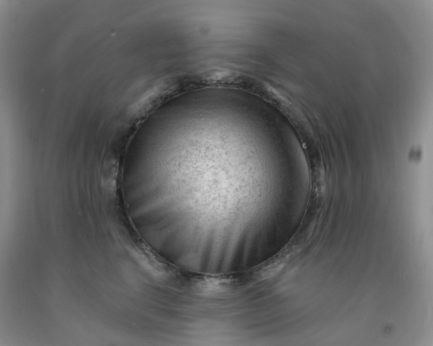 X0000091970664200709201406