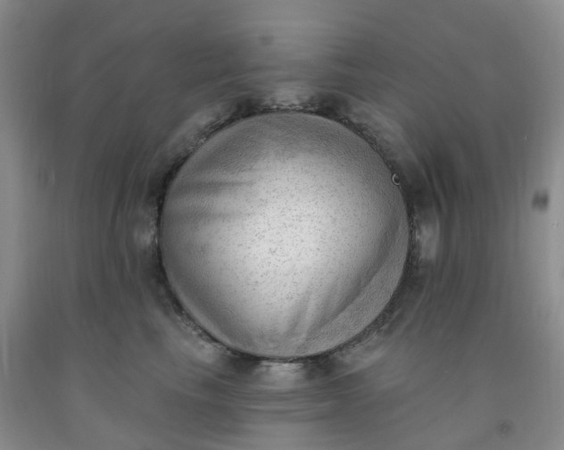 X0000091970665200709201406