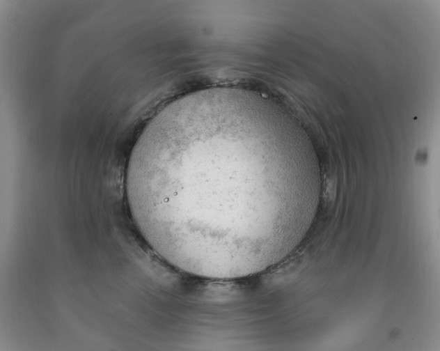 X0000091970666200709201406