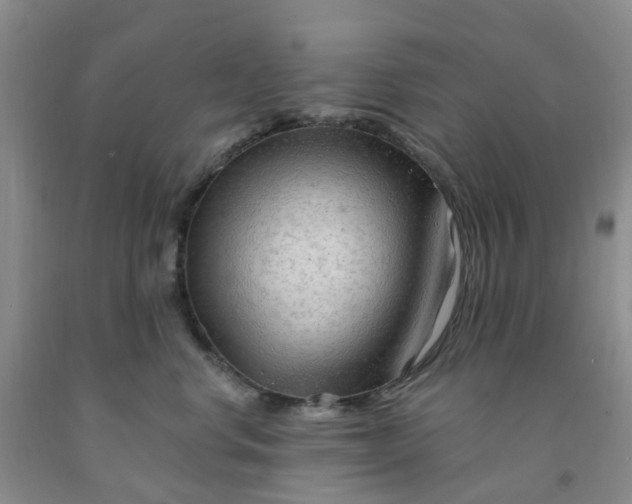 X0000091970668200709201406