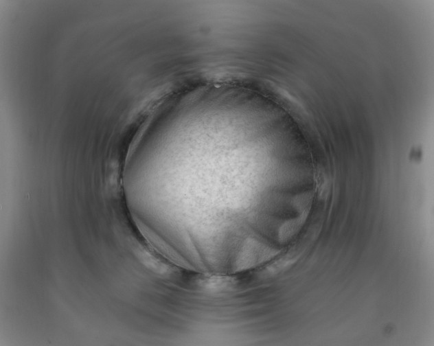 X0000091970670200709201406