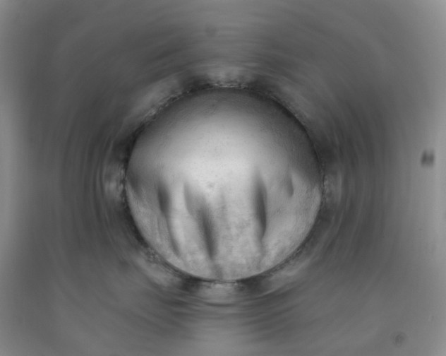 X0000091970671200709201406