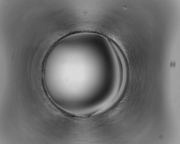 X0000091970673200709201406