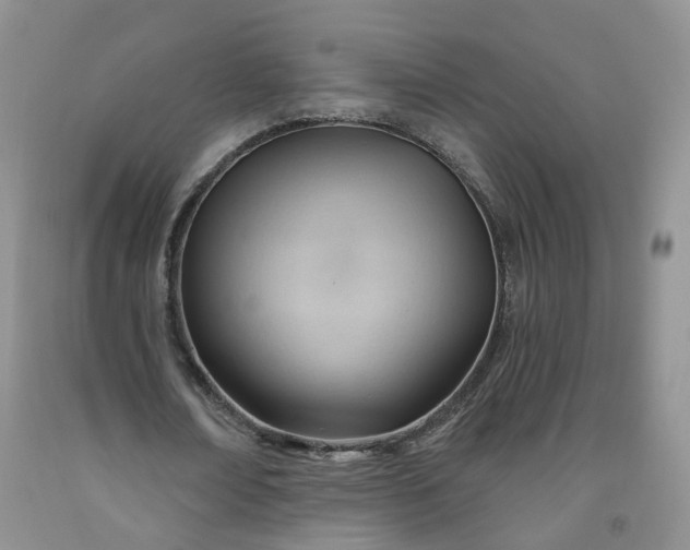 X0000091970674200709201406