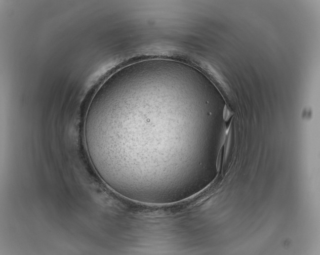 X0000091970675200709201406