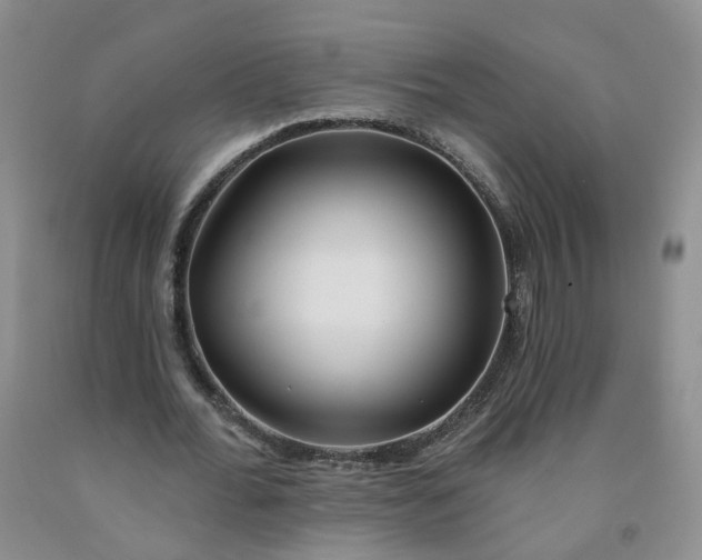 X0000091970676200709201406