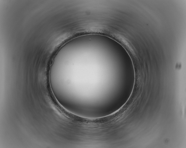 X0000091970677200709201406