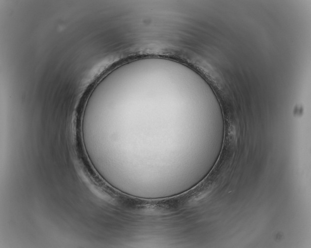 X0000091970678200709201406