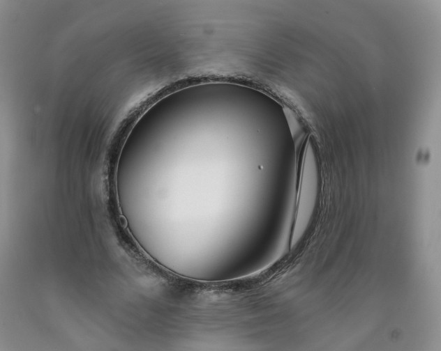 X0000091970680200709201406