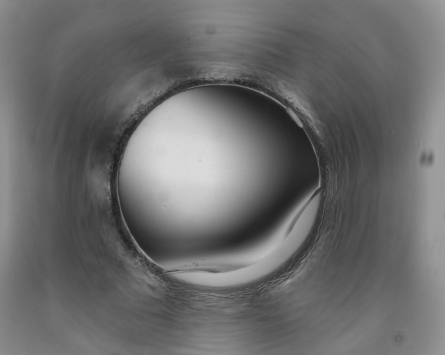 X0000091970681200709201406