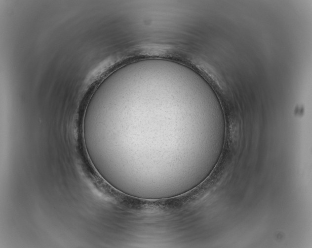 X0000091970682200709201406