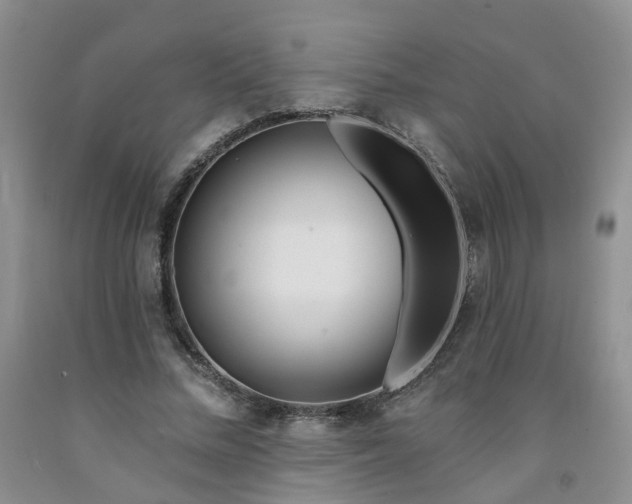 X0000091970684200709201406