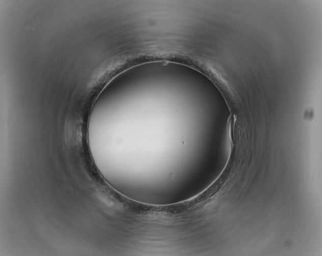 X0000091970685200709201406