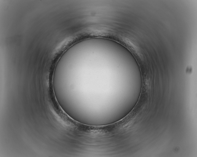 X0000091970686200709201406