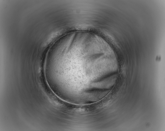 X0000091970687200709201406