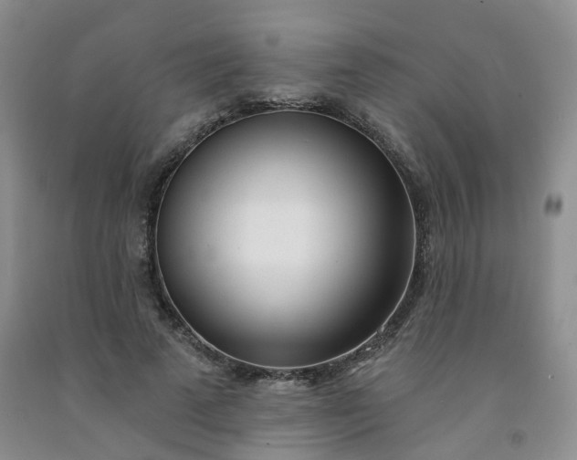 X0000091970689200709201406