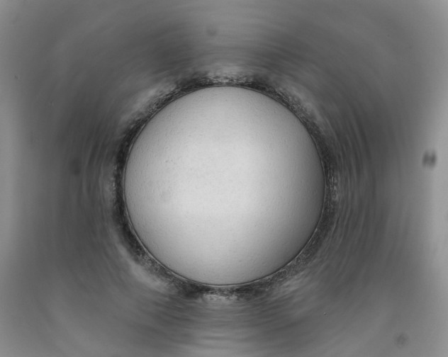 X0000091970690200709201406