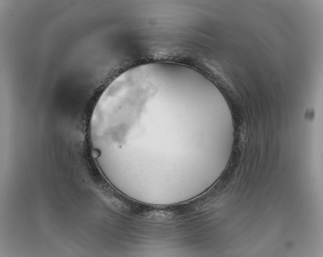 X0000091970691200709201406