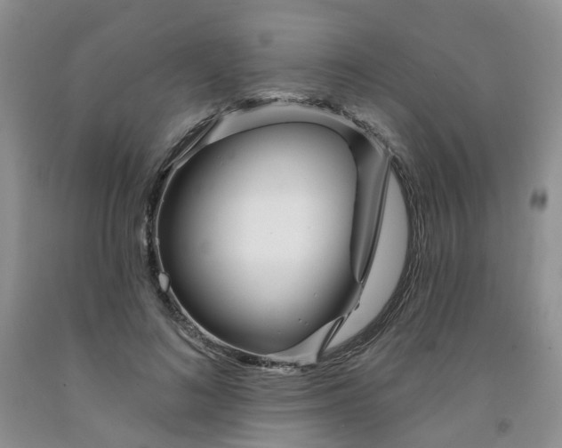 X0000091970692200709201406