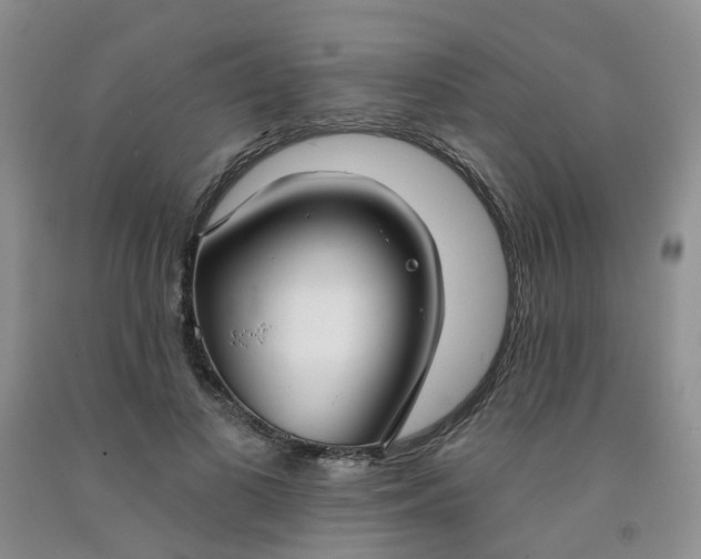 X0000091970693200709201406