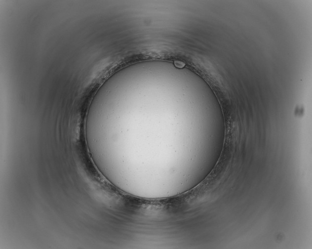 X0000091970694200709201405