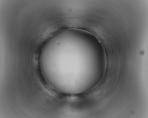 X0000091970695200709201405