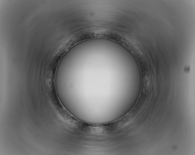 X0000091970698200709201405