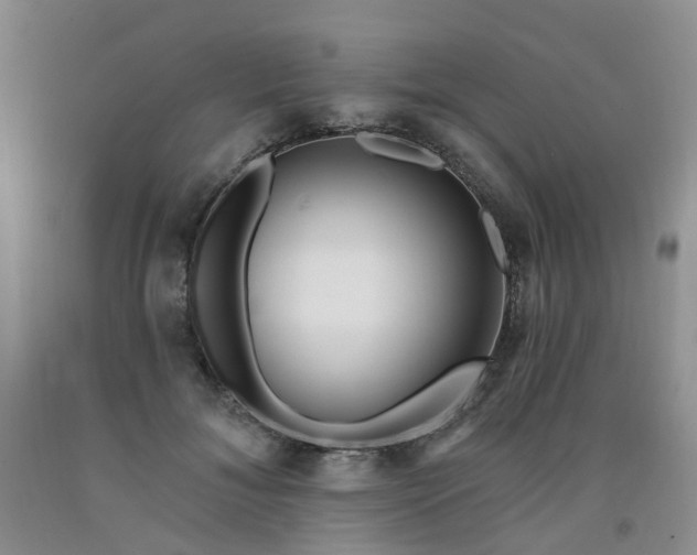 X0000091970700200709201405