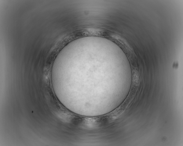 X0000091970701200709201405
