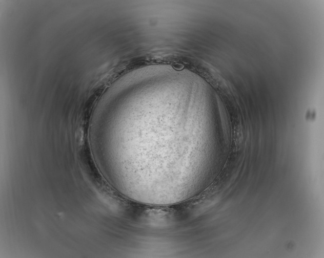 X0000091970703200709201405