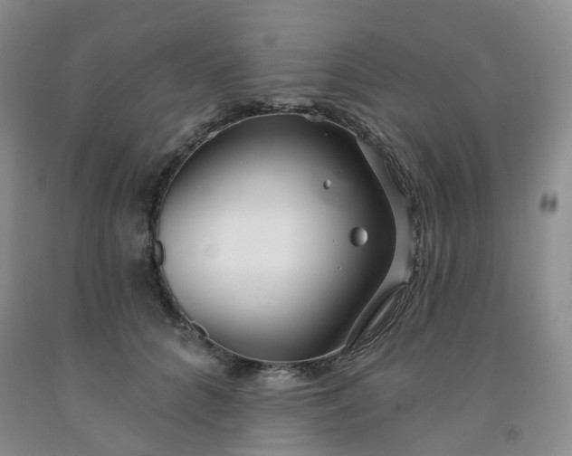 X0000091970704200709201405