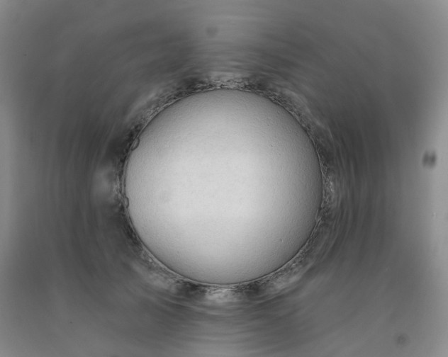 X0000091970705200709201405