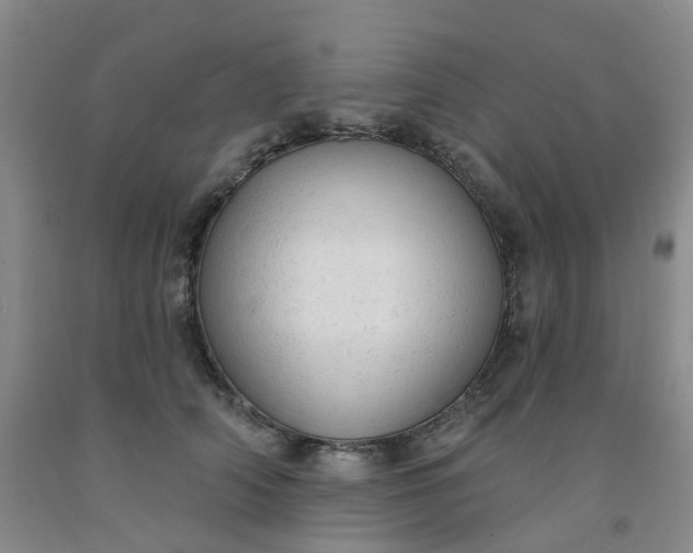 X0000091970706200709201405