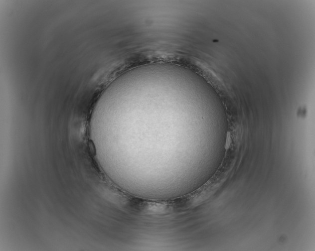 X0000091970709200709201405