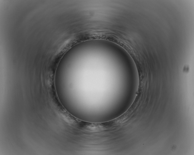 X0000091970712200709201405