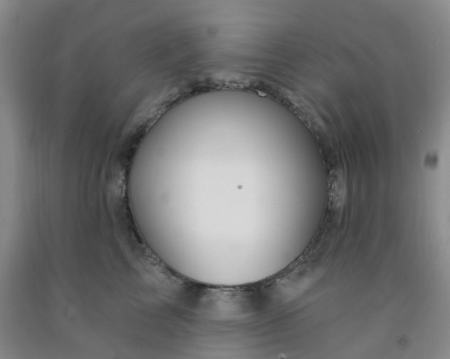 X0000091970713200709201405
