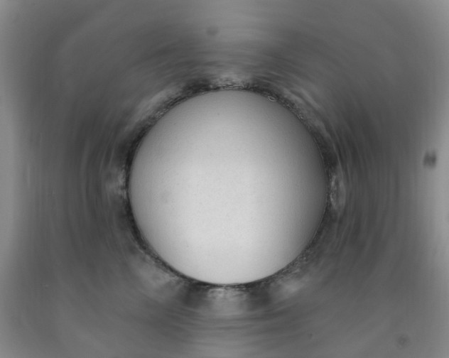 X0000091970714200709201405