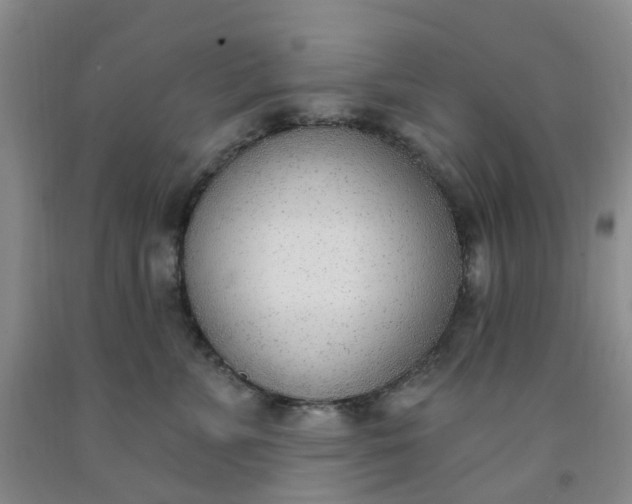 X0000091970715200709201405