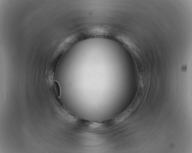 X0000091970718200709201405