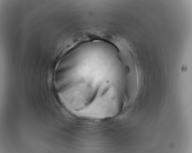X0000091970720200709201405