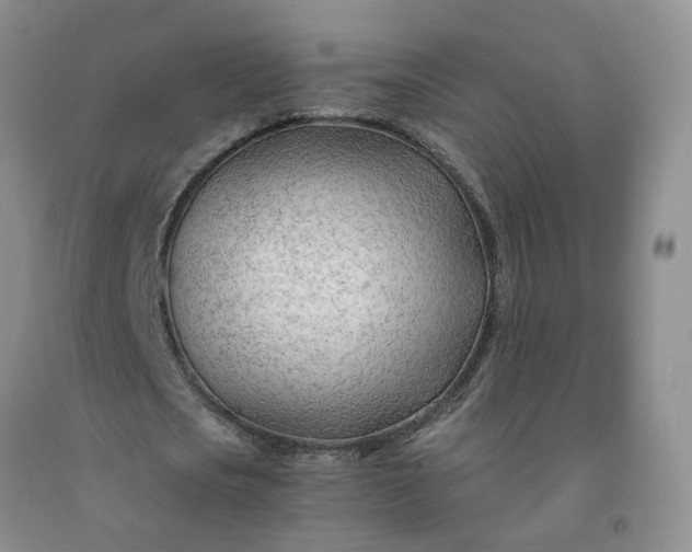 X0000091970721200709201404
