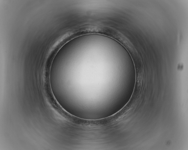 X0000091970722200709201404