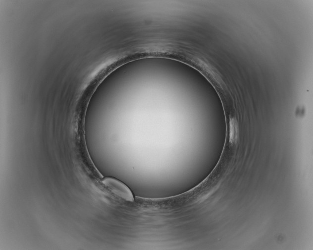 X0000091970723200709201404