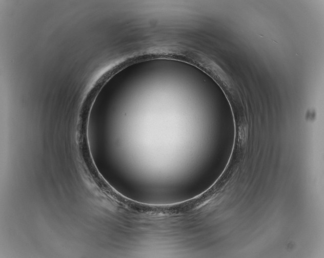 X0000091970724200709201404