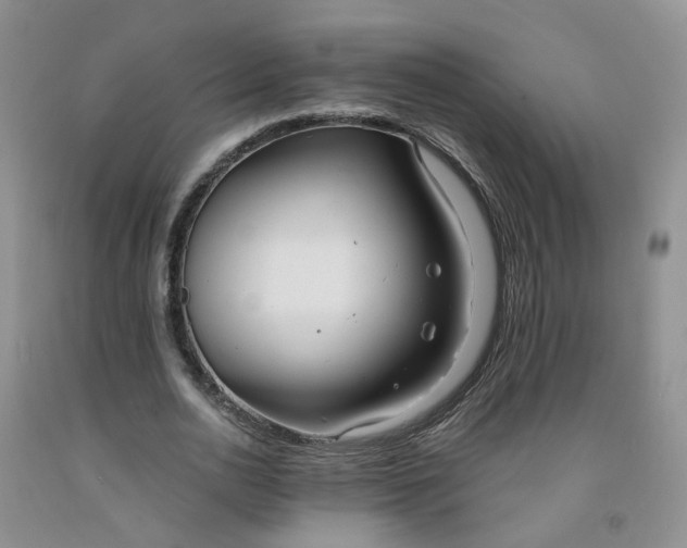 X0000091970726200709201404