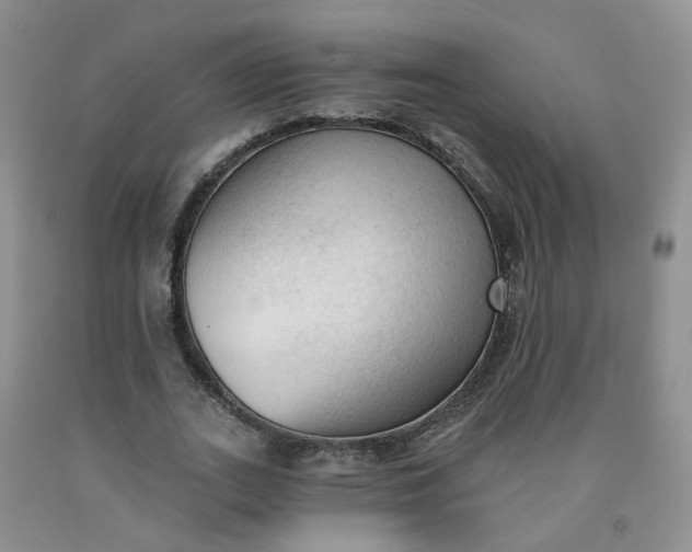 X0000091970727200709201404