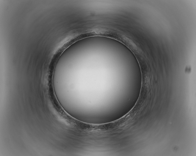 X0000091970730200709201405