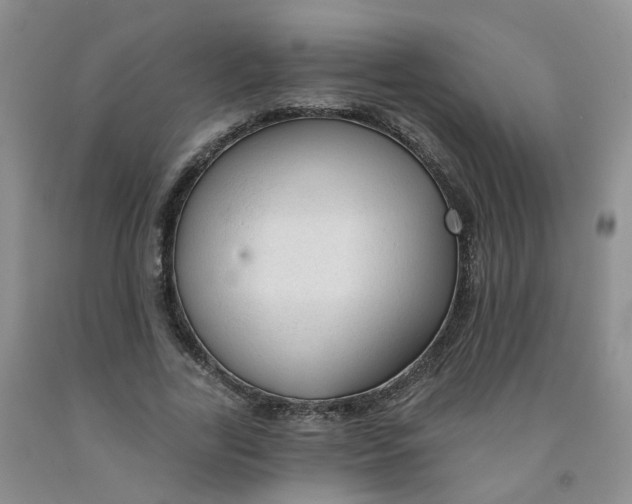 X0000091970731200709201405