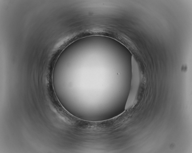 X0000091970732200709201405